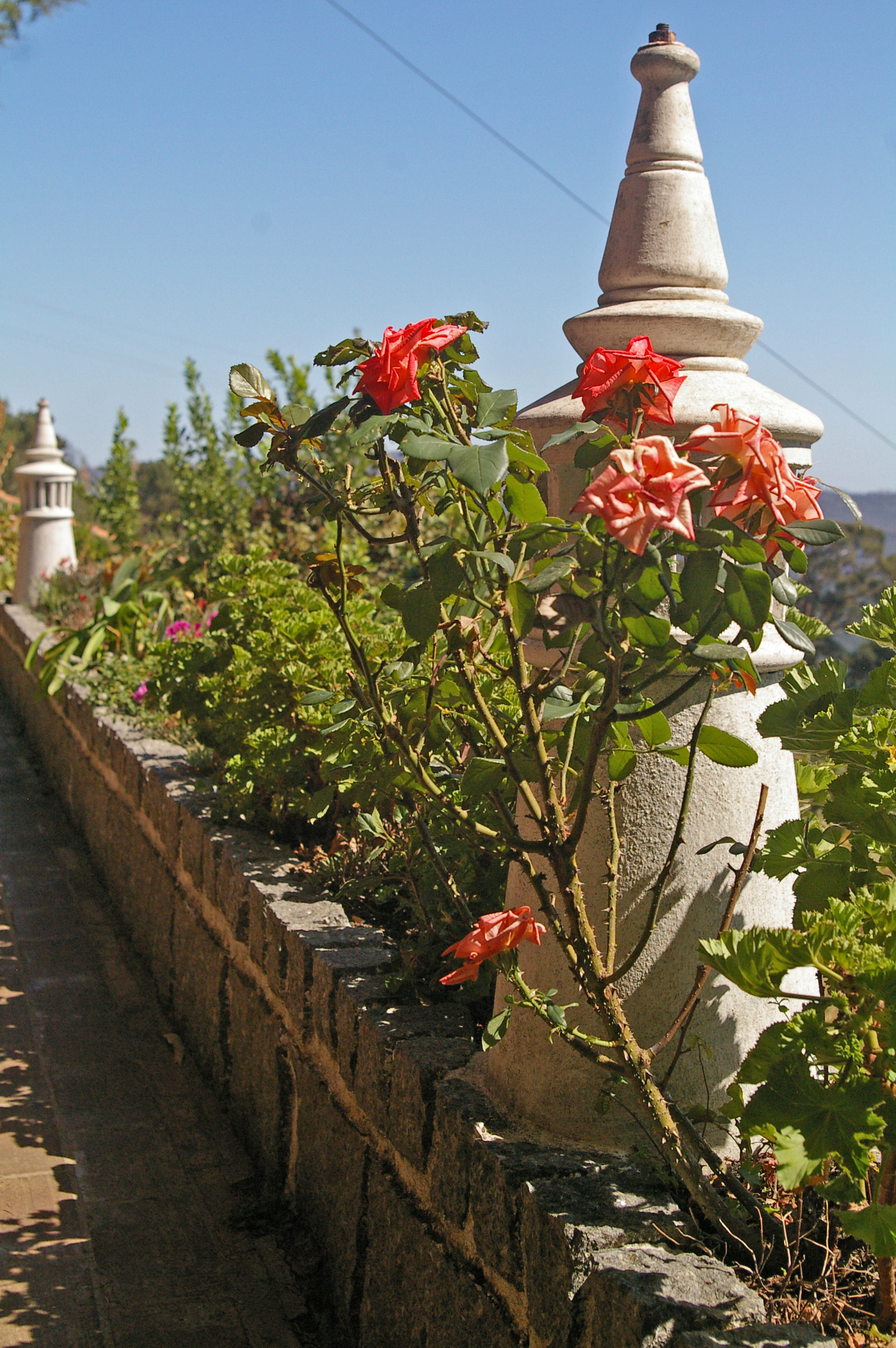 the terrace at restaurant montanha near Foia, Monchique, Algarve, Portugal